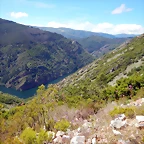 DSCN1536