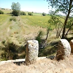 DSCN8168