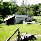 DSCN2462