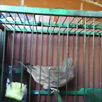 IMAG0723