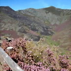DSCN1127