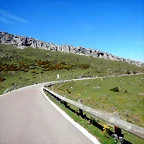 DSCN8513