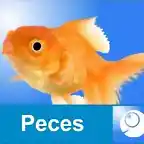 peces web