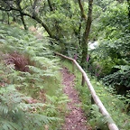 DSCN2753