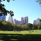 Central Park