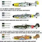 luftwaffe_camo_1_book