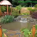 fotos-de-jardin-de-agua