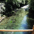 DSCF2614
