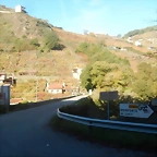 DSCN4535