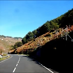 DSCN4532