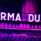 Norma Duval neon