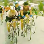 GIRO1977 pollentier moser