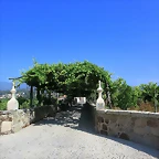 25-IMG_2201