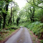 DSCN4274