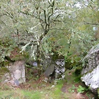 DSCN5784