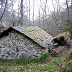 DSCN3966