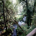 DSCN8472