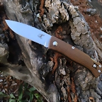 SALAMANDRA TEK 26-4-25 (1)