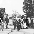 elefante_1