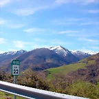 DSCN8677