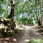 DSCN2474