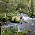 DSCN5734
