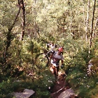 Pirineos2