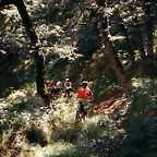 Picos de Europa 2