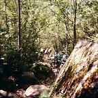 Pirineos1