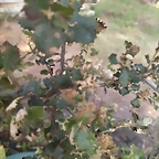 IMG_20250602_192557