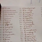 Video Mar?a IG Stories 16-11-2018 (15)
