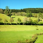 DSCN0050