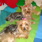 DSC00904