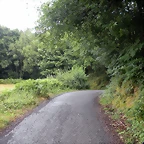 DSCN4721