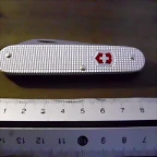 DSCI0845