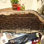 DSC03591