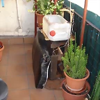 DSC03598