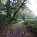 DSCN3772