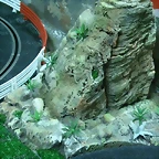 Roca en tringulo 002 (Small)