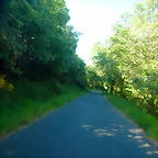 DSCN2106