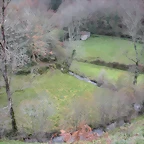 DSCN1008
