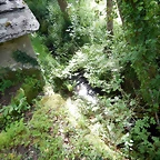 DSCN2453