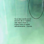D.Modesto7