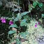 P1010207