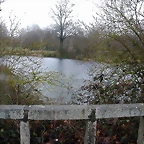 DSCN7442