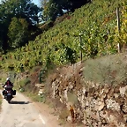 DSCN0465