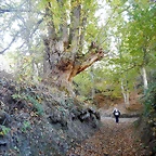 DSCN9142
