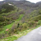 DSCN4412