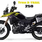 Vstrom 250 True xtrail copia