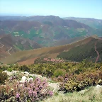 DSCF2577